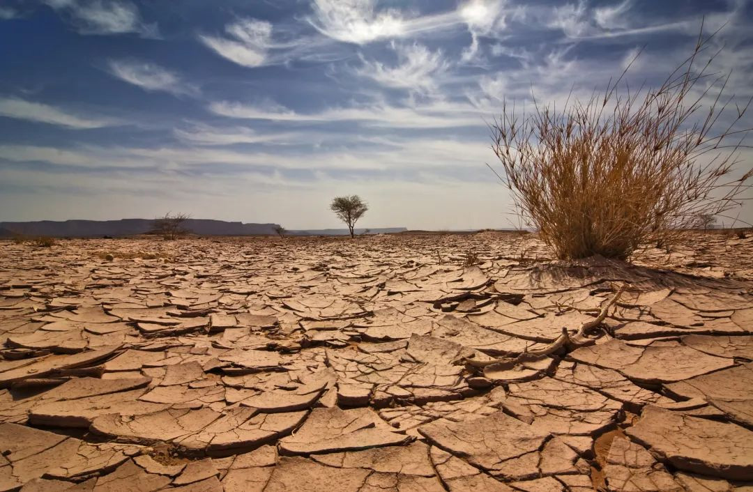 Why North Texas Has Clay Soil