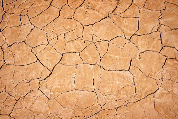 Dry Soil (Shrinks)