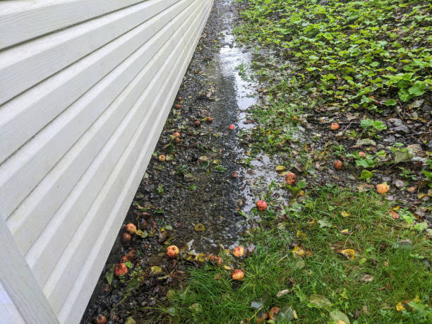 Water Around Your Foundation detail