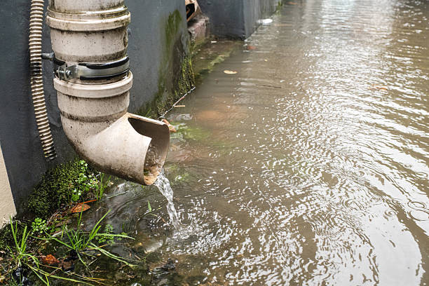 Clogged Gutters